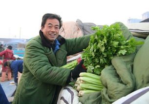 我國食用農(nóng)產(chǎn)品價(jià)格呈現(xiàn)小幅上漲態(tài)勢