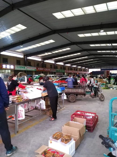 中貿農產品綜合批發市場 從基地到市場，蔬菜區一站式采購與每日參考價解析