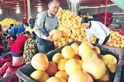 厲害了！湖北19個特產受國家保護，以你家鄉命名食用農產品批發